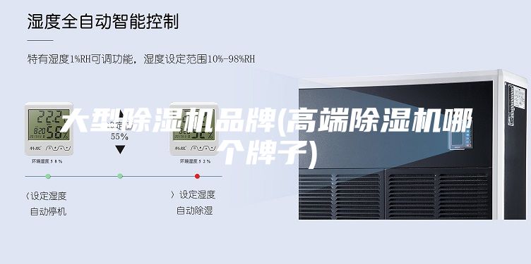 大型除濕機(jī)品牌(高端除濕機(jī)哪個(gè)牌子)