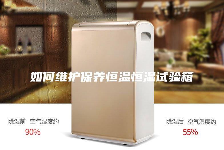 如何維護(hù)保養(yǎng)恒溫恒濕試驗(yàn)箱
