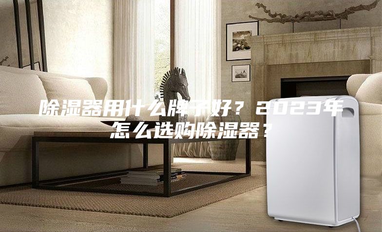 除濕器用什么牌子好？2023年怎么選購除濕器？