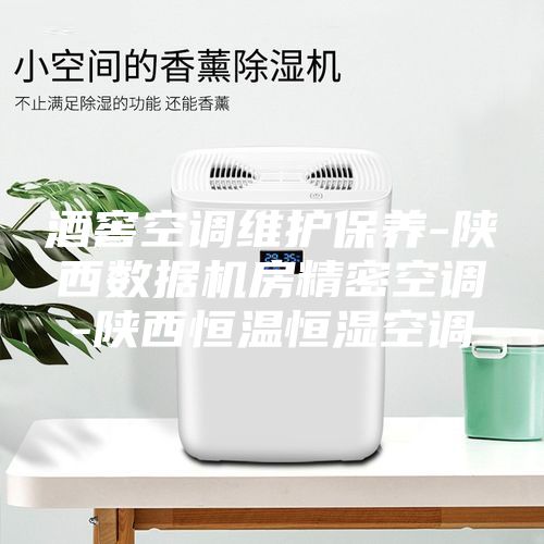 酒窖空調(diào)維護(hù)保養(yǎng)-陜西數(shù)據(jù)機房精密空調(diào)-陜西恒溫恒濕空調(diào)