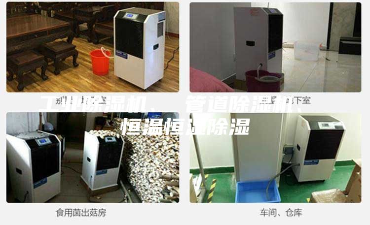 工業除濕機、 管道除濕機、 恒溫恒濕除濕