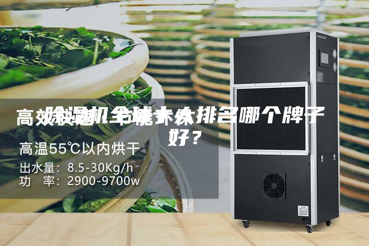 除濕機(jī)全球十大排名哪個(gè)牌子好？