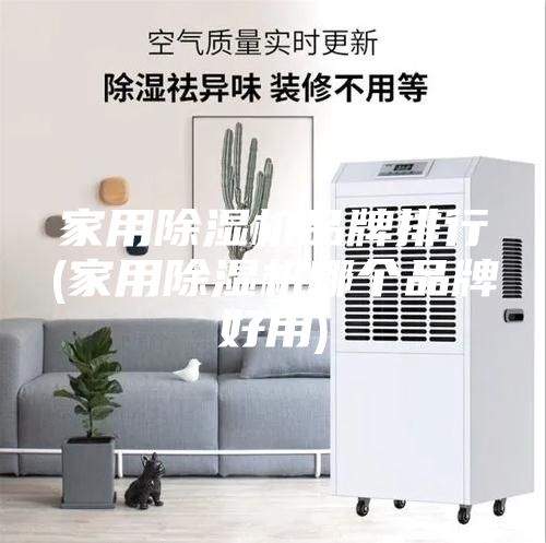 家用除濕機品牌排行(家用除濕機哪個品牌好用)