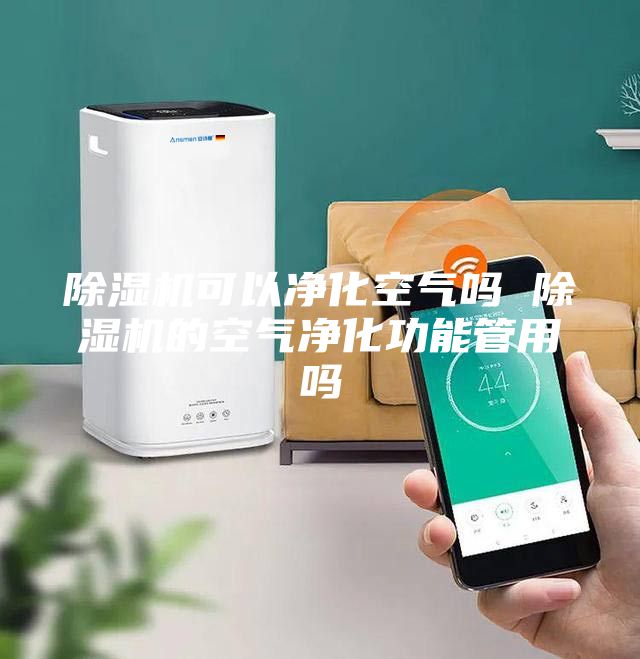 除濕機可以凈化空氣嗎 除濕機的空氣凈化功能管用嗎