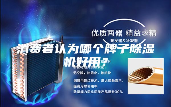 消費(fèi)者認(rèn)為哪個牌子除濕機(jī)好用？