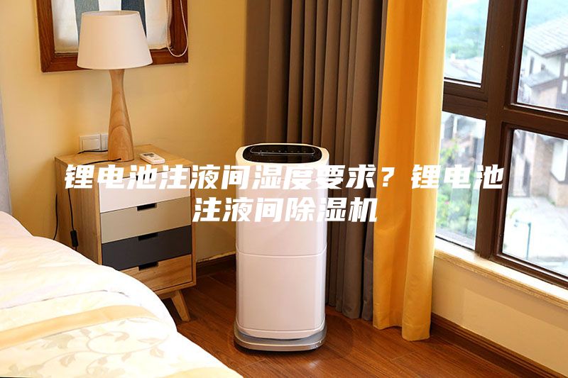 鋰電池注液間濕度要求？鋰電池注液間除濕機(jī)