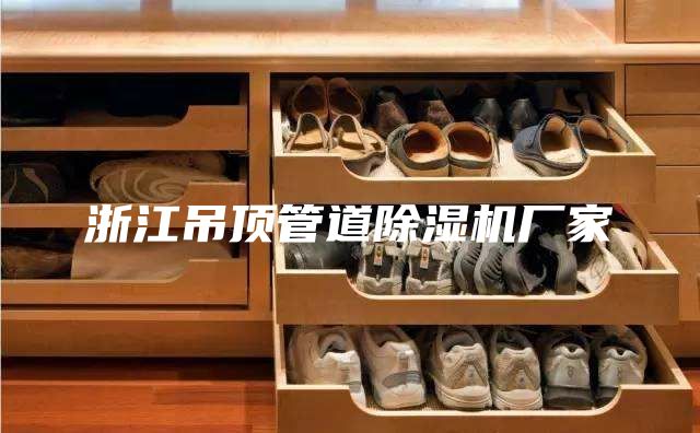 浙江吊頂管道除濕機廠家