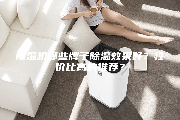 除濕機哪些牌子除濕效果好？性價比高的推薦？