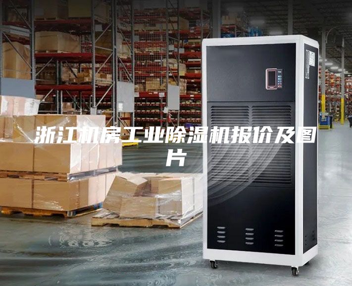 浙江機(jī)房工業(yè)除濕機(jī)報(bào)價(jià)及圖片