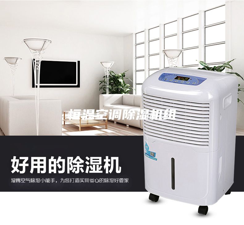 恒溫空調除濕機組