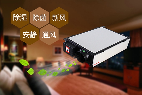 回南天如何防潮濕？選對除濕機高枕無憂