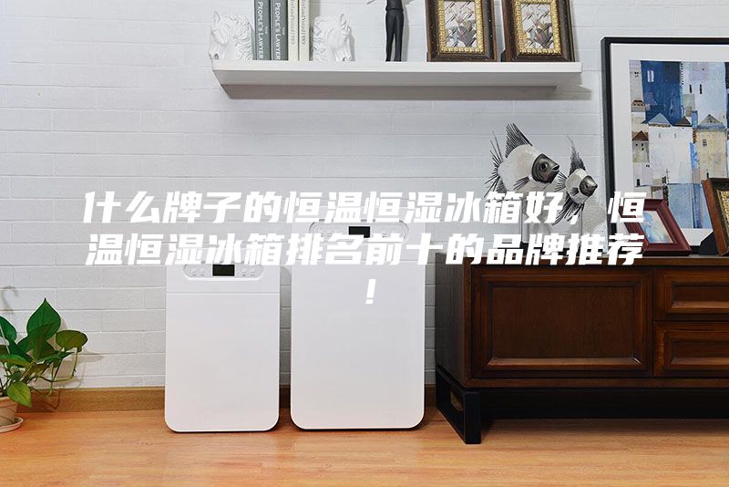 什么牌子的恒溫恒濕冰箱好，恒溫恒濕冰箱排名前十的品牌推薦！