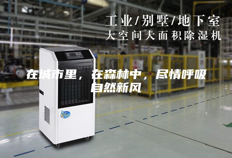 在城市里，在森林中，盡情呼吸自然新風
