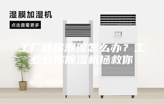 工廠倉庫潮濕怎么辦？工業(yè)倉庫除濕機拯救你