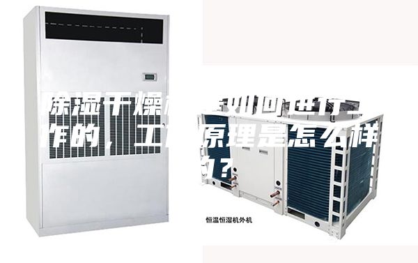 除濕干燥機是如何進行工作的，工作原理是怎么樣的？