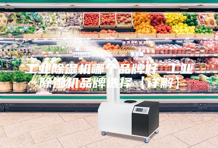 工業除濕機哪個品牌好 工業除濕機品牌選擇【詳解】