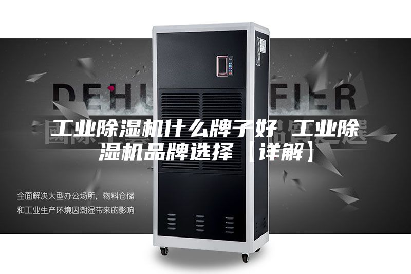 工業(yè)除濕機什么牌子好 工業(yè)除濕機品牌選擇【詳解】