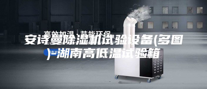 安詩曼除濕機試驗設備(多圖)-湖南高低溫試驗箱
