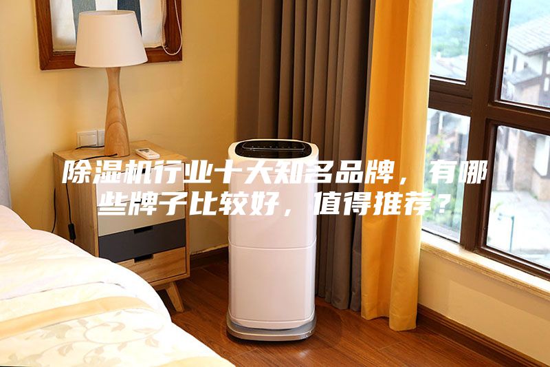 除濕機行業十大知名品牌，有哪些牌子比較好，值得推薦？