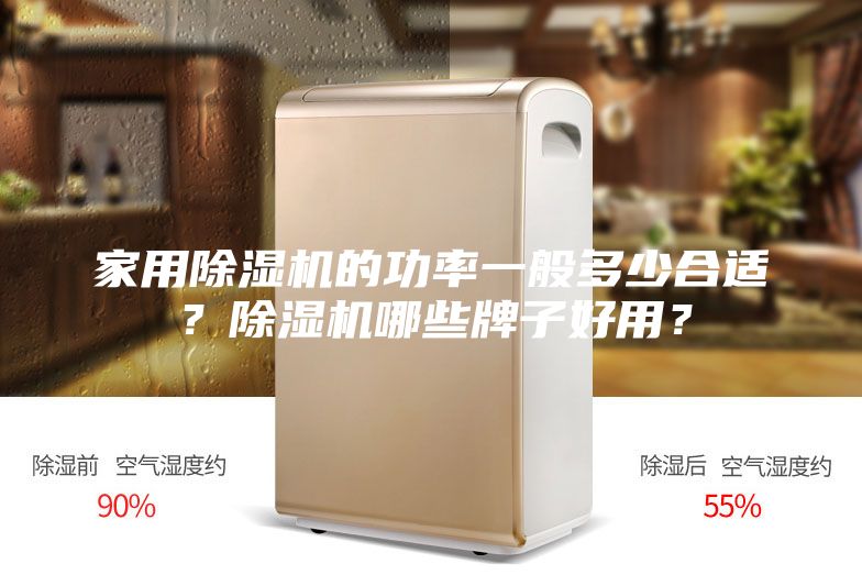 家用除濕機(jī)的功率一般多少合適？除濕機(jī)哪些牌子好用？