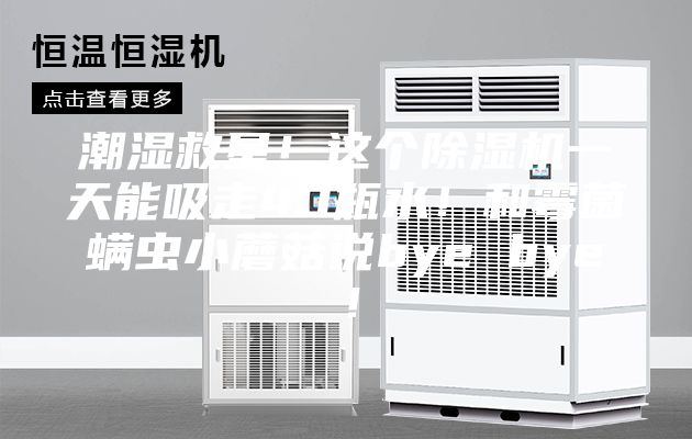 潮濕救星！這個(gè)除濕機(jī)一天能吸走40瓶水！和霉菌螨蟲小蘑菇說(shuō)bye bye！