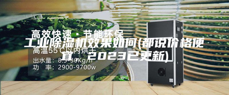 工業(yè)除濕機(jī)效果如何(都說價格便宜，2023已更新)