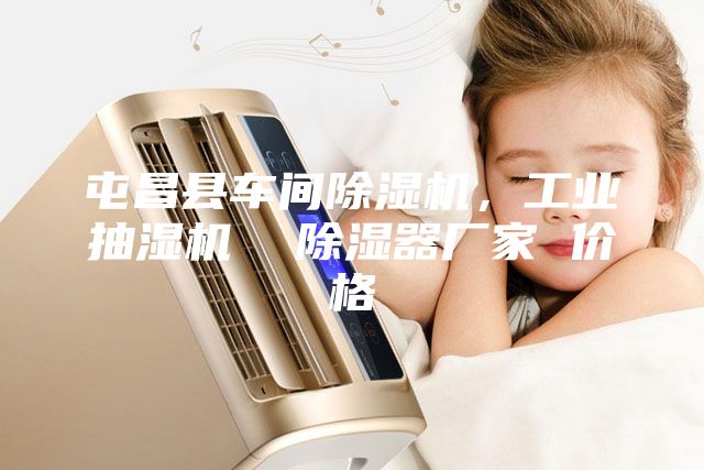屯昌縣車間除濕機，工業抽濕機  除濕器廠家 價格