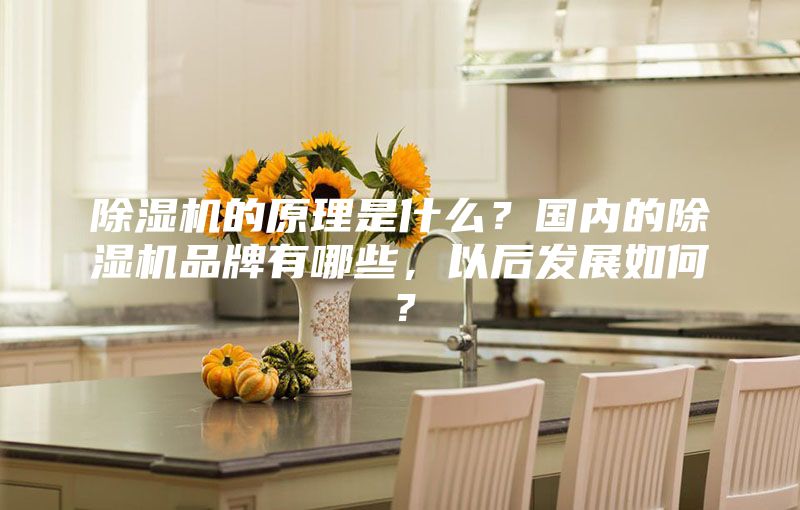除濕機的原理是什么？國內(nèi)的除濕機品牌有哪些，以后發(fā)展如何？