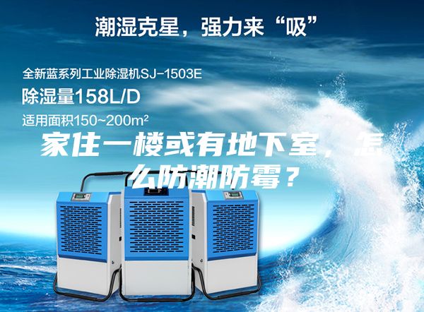 家住一樓或有地下室，怎么防潮防霉？