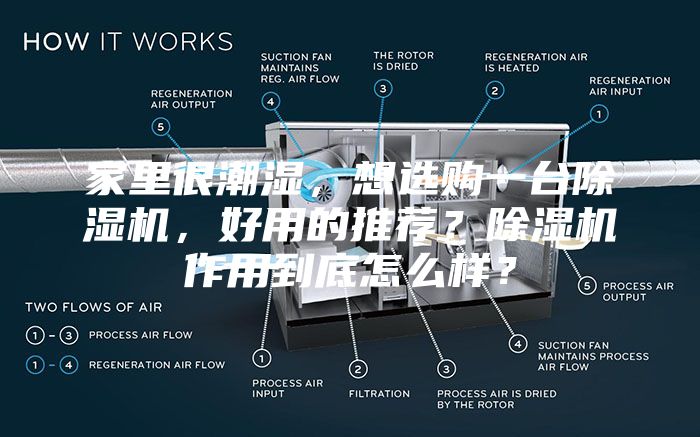 家里很潮濕，想選購一臺除濕機，好用的推薦？除濕機作用到底怎么樣？